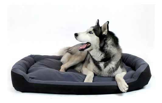 Cama Extra Grande Pets Apparel CTC23 Para Perro Resistente Negra y Gris